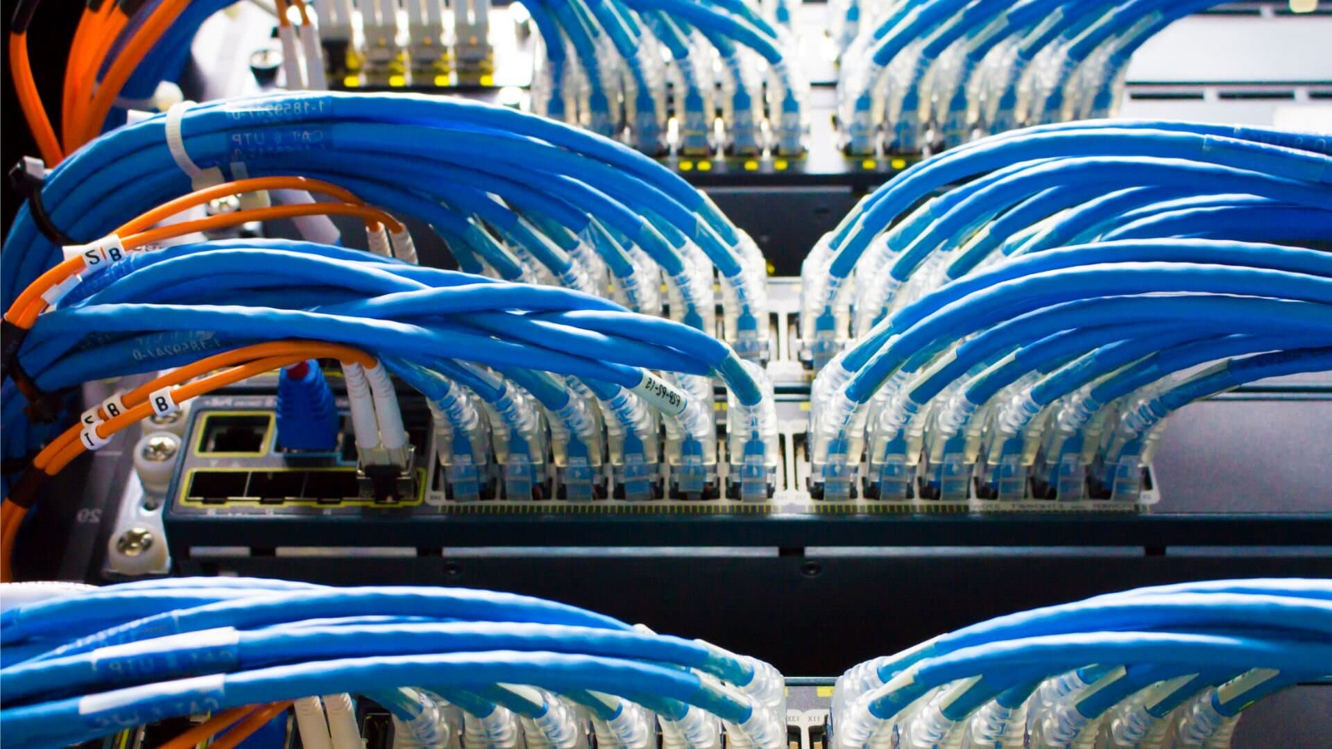 Adat- és TV-hálózat